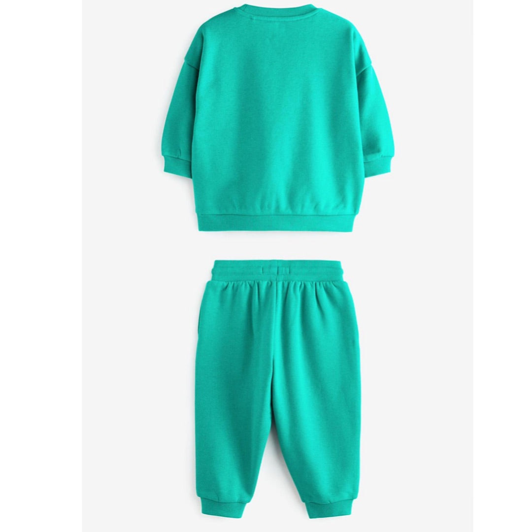 Green Animal Printed Sweatshirt & Joggers Set