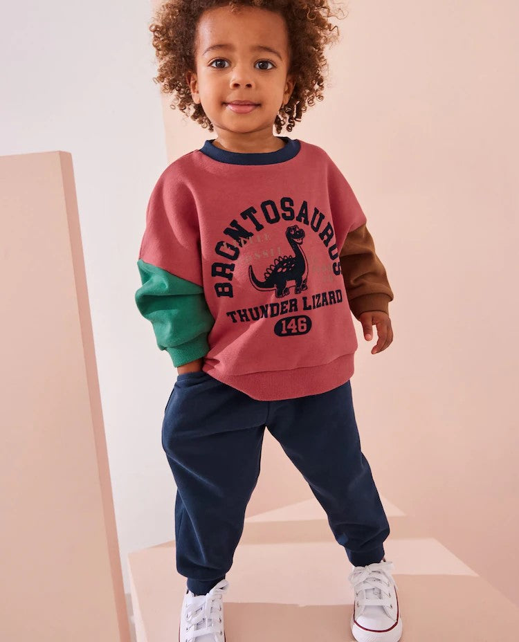 Red/Blue Dinosaur Printed Colourblock Sweatshirt and Joggers Set