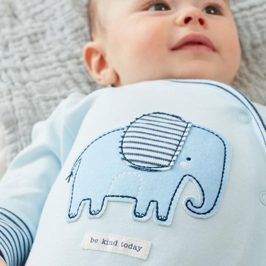 Pale Blue Elephant Appliqués Sleepsuit 3 Pack Set