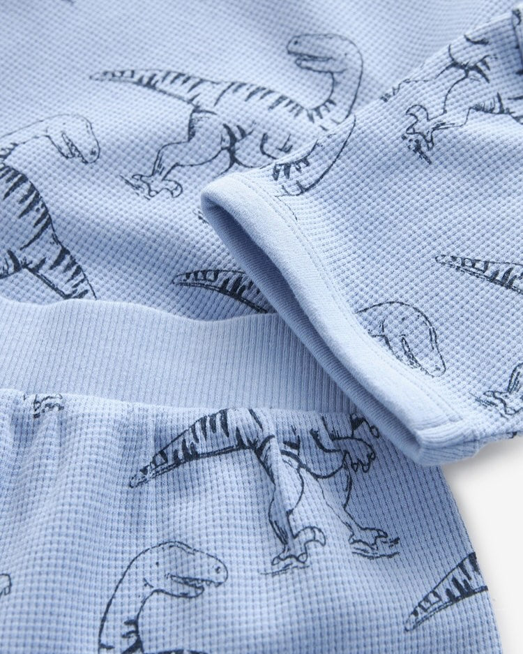 Dino Shirt & Shorts 3 Pack Set