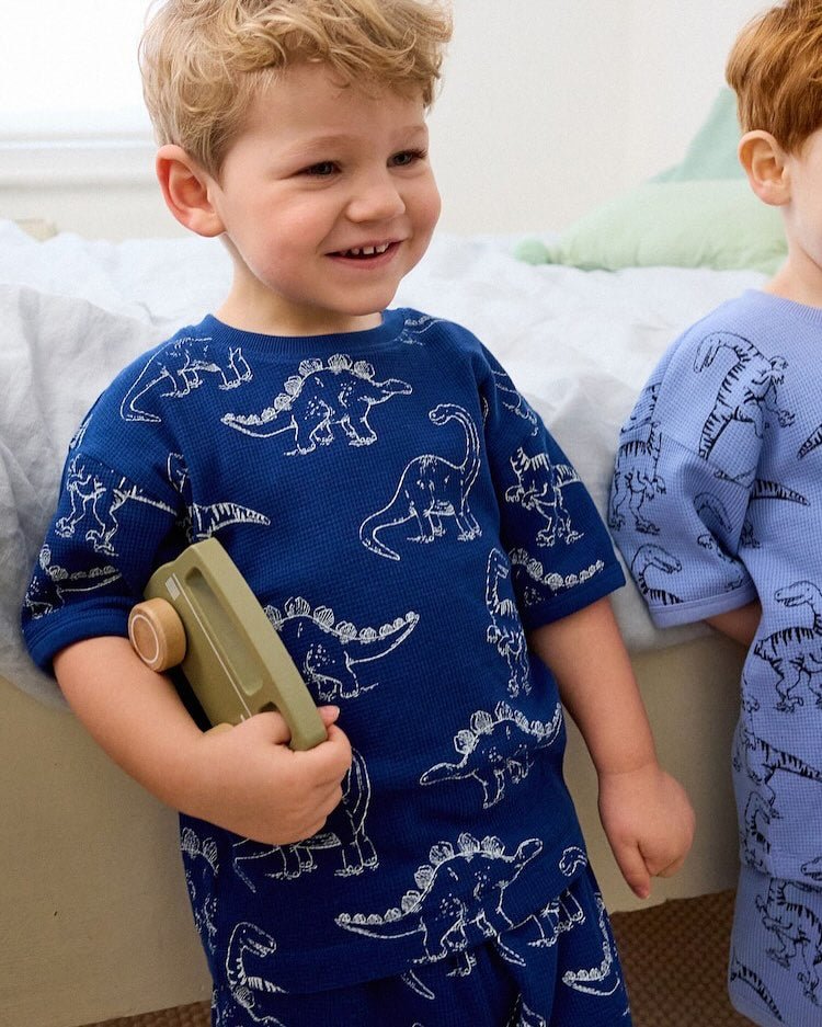 Dino Shirt & Shorts 3 Pack Set