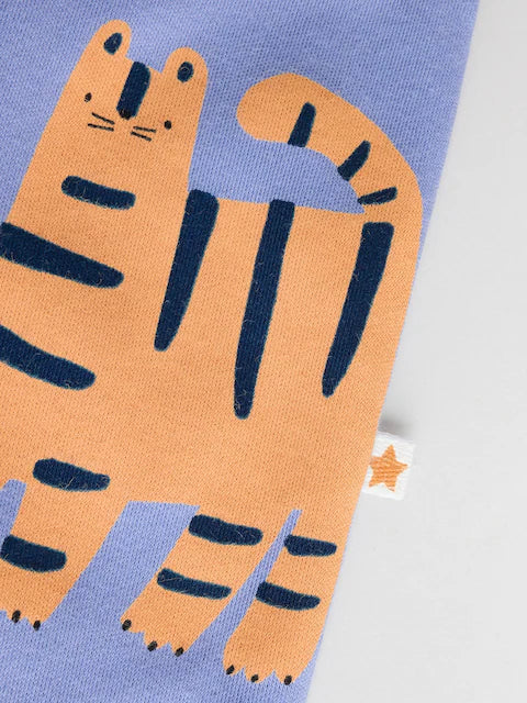 Blue/Green Footless Baby Sleepsuits 3 Pack